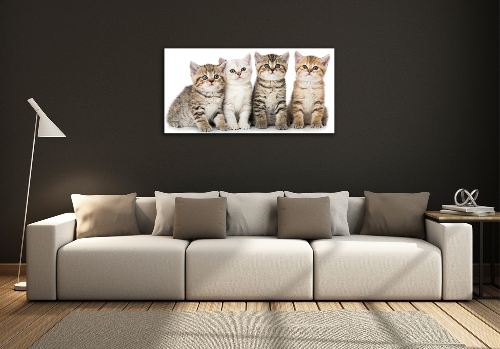 Glass art print Little cats