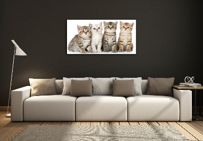 Glass art print Little cats