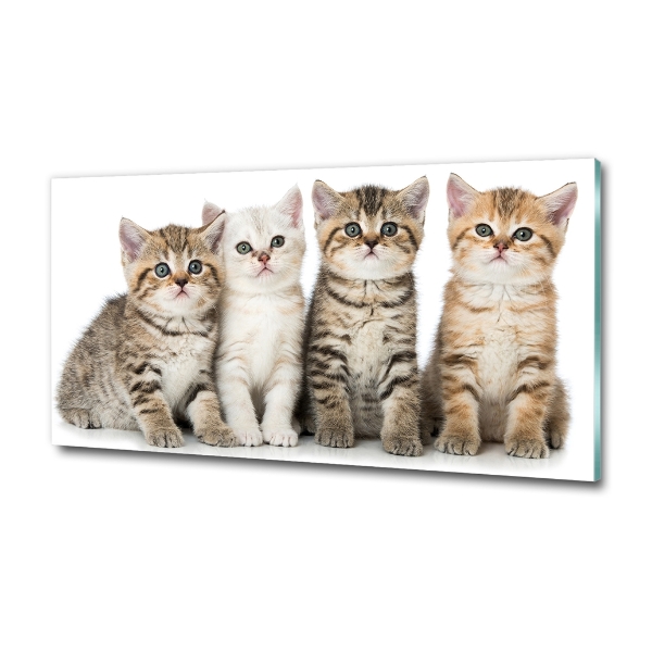 Glass art print Little cats