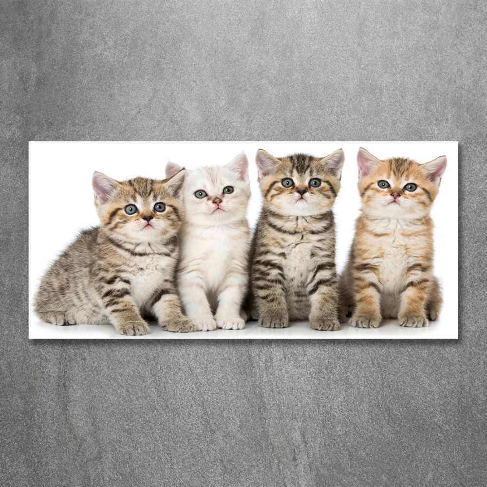 Glass art print Little cats