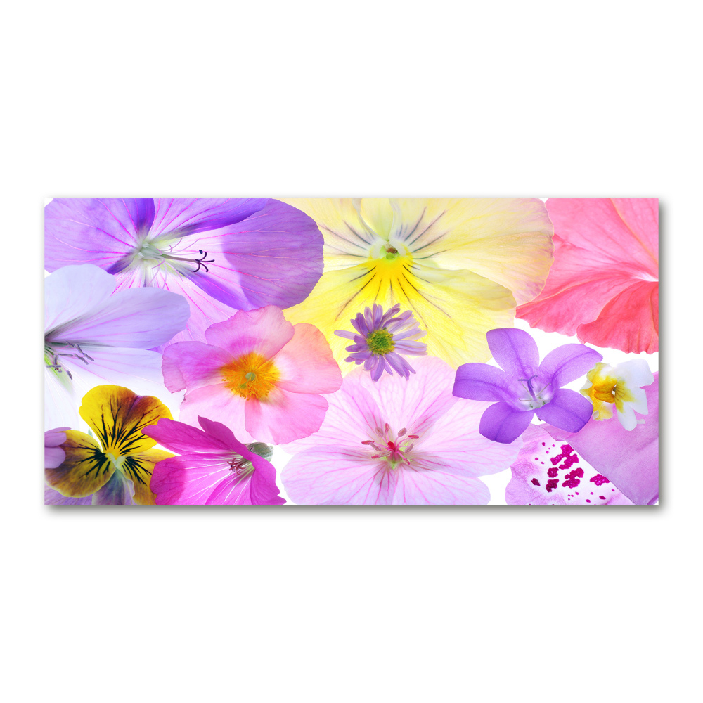 Glass art print Pansies