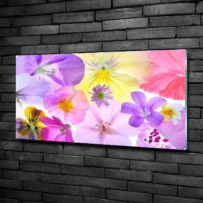 Glass art print Pansies