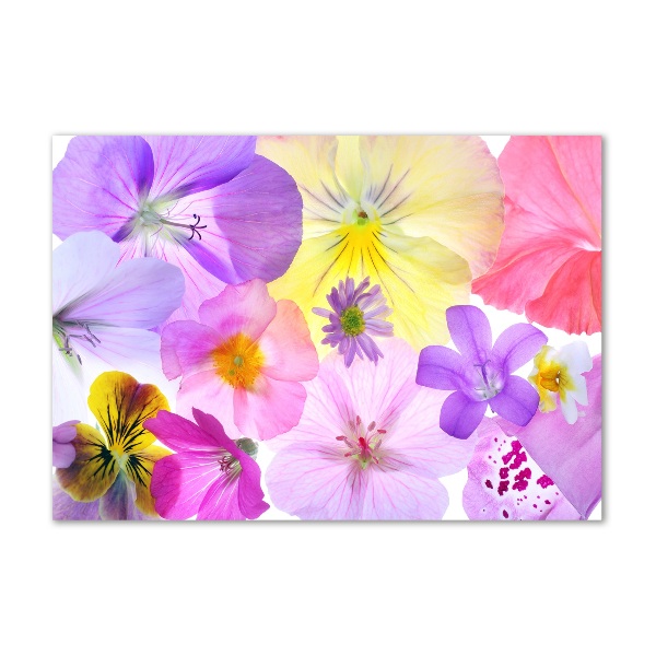 Glass art print Pansies