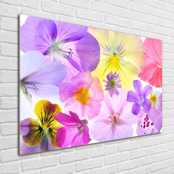 Glass art print Pansies