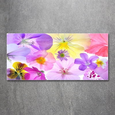 Glass art print Pansies