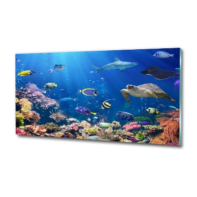 Wall art on glass Coral reef