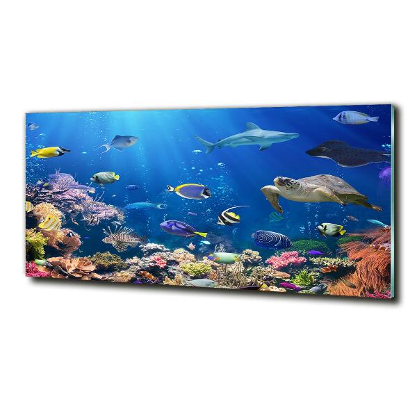 Wall art on glass Coral reef