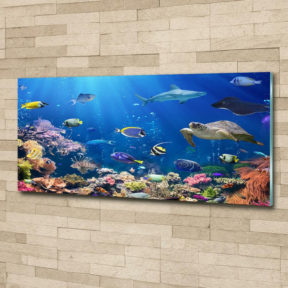 Wall art on glass Coral reef