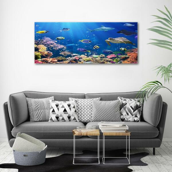 Wall art on glass Coral reef