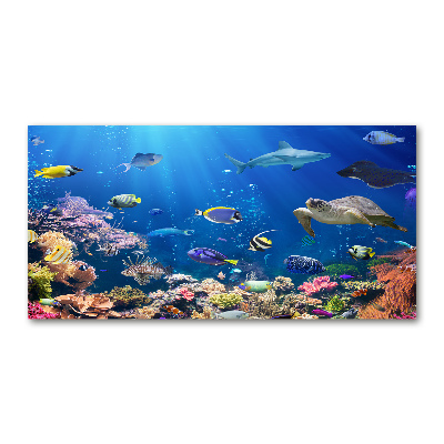 Wall art on glass Coral reef