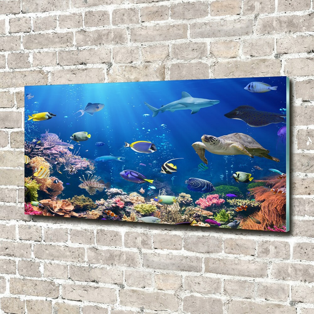 Wall art on glass Coral reef