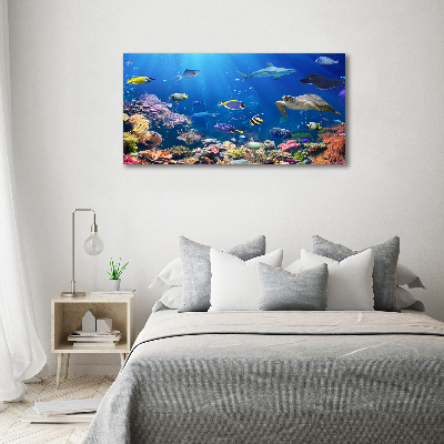 Wall art on glass Coral reef