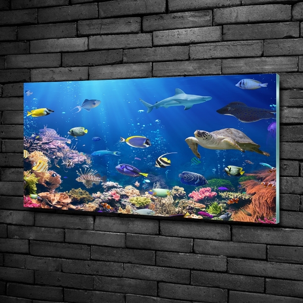 Wall art on glass Coral reef