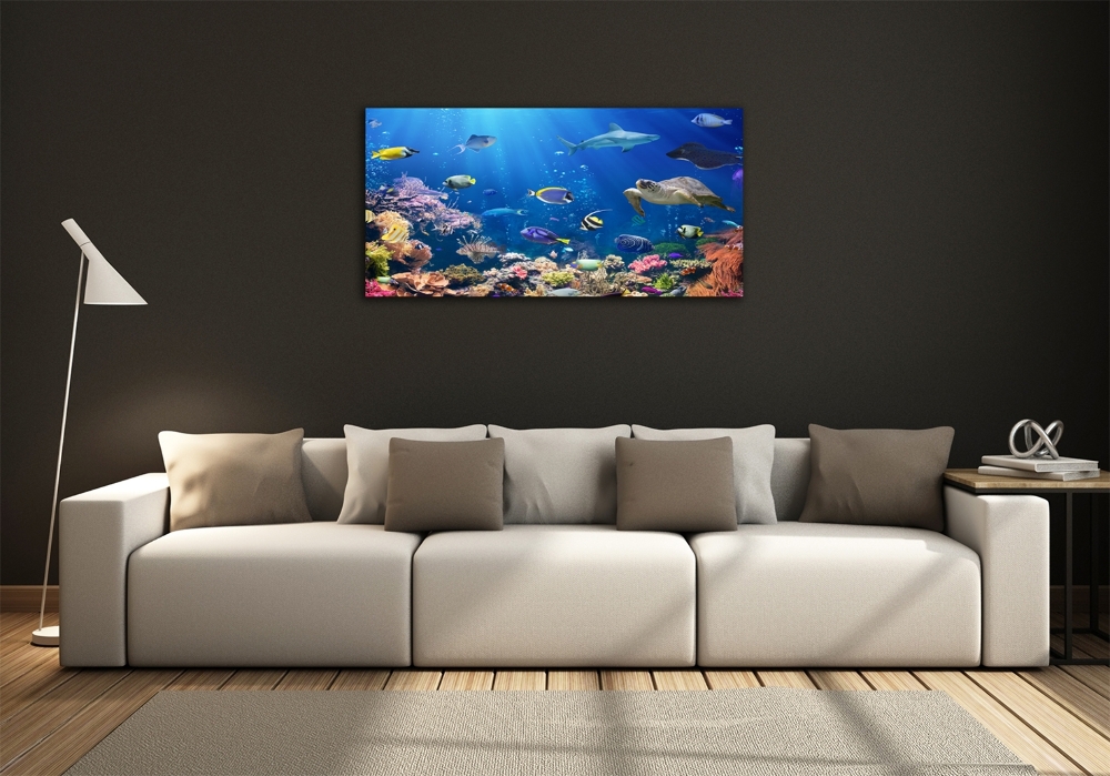 Wall art on glass Coral reef