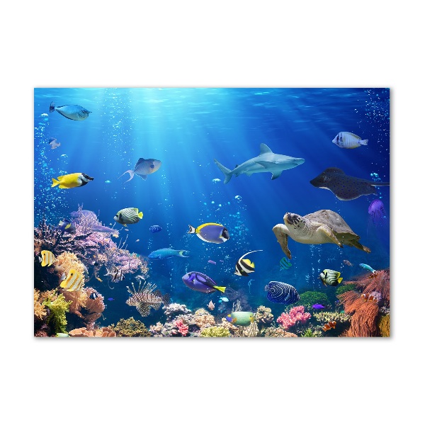 Wall art on glass Coral reef