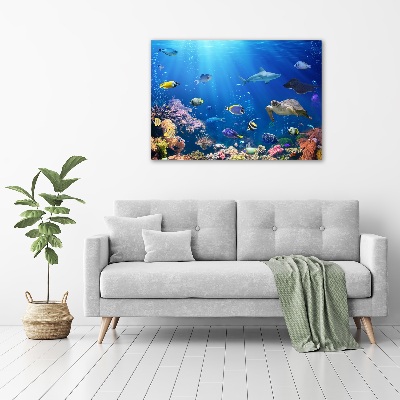 Wall art on glass Coral reef