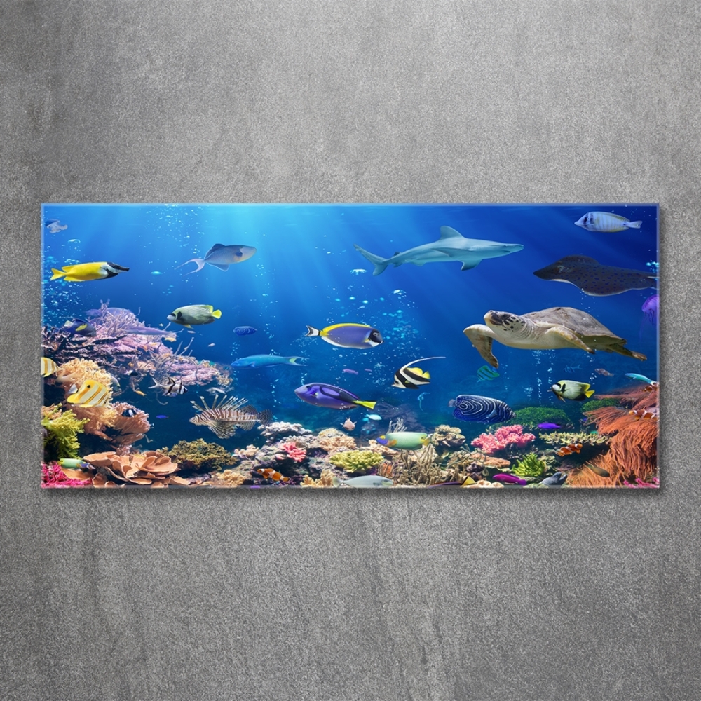 Wall art on glass Coral reef