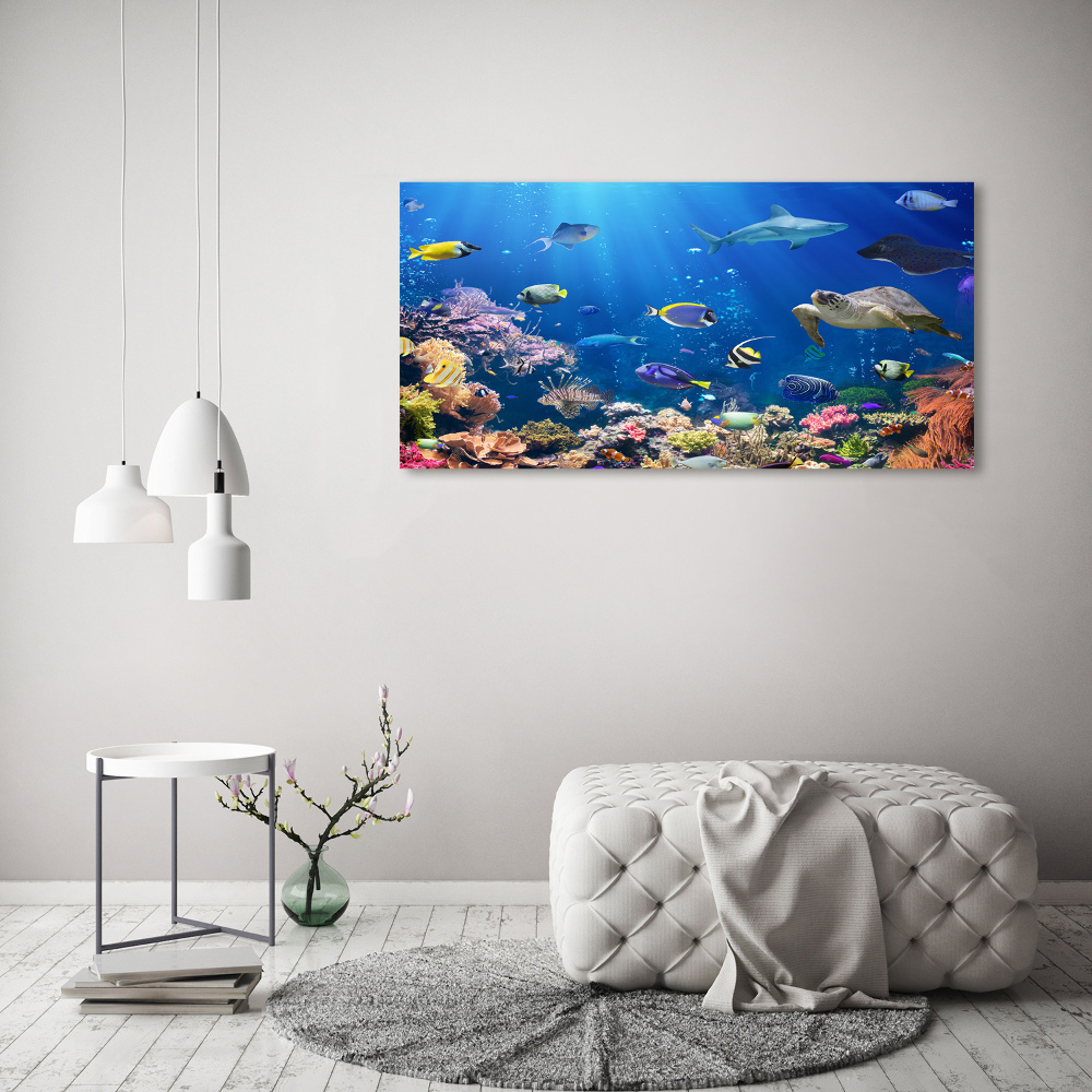 Wall art on glass Coral reef