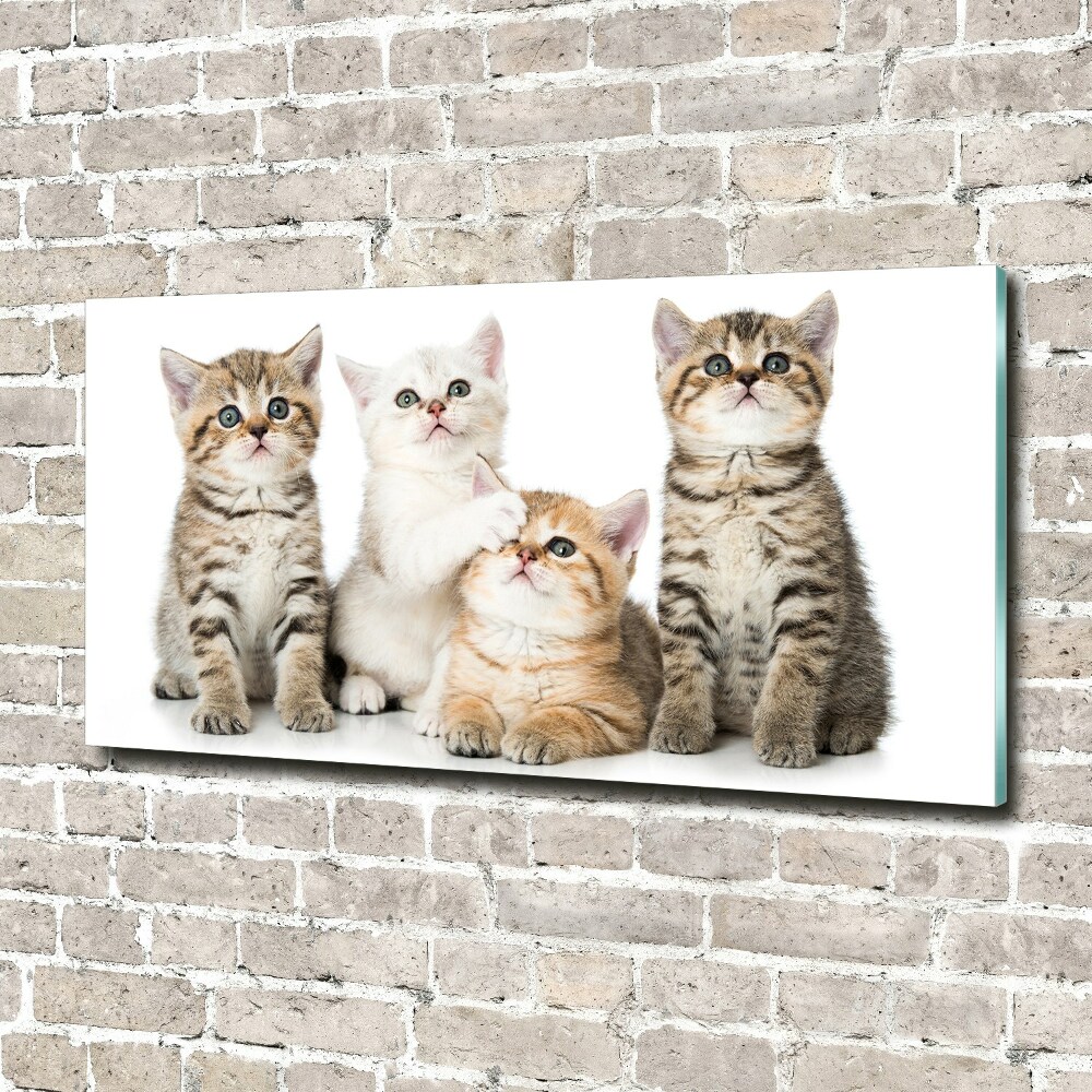 Wall art on glass Little cats