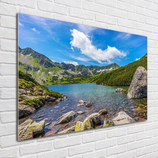 Glass art print Tatry valley