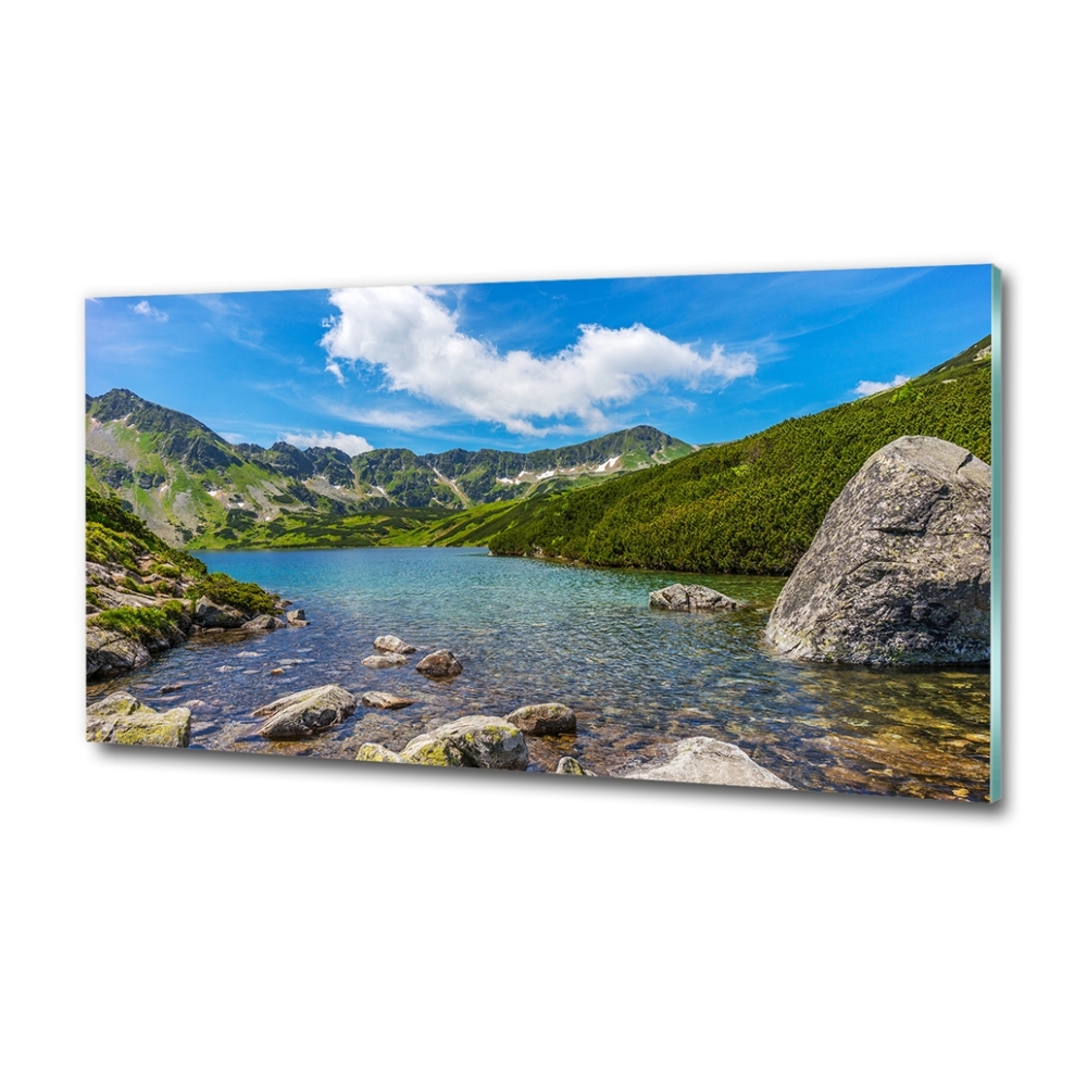 Glass art print Tatry valley