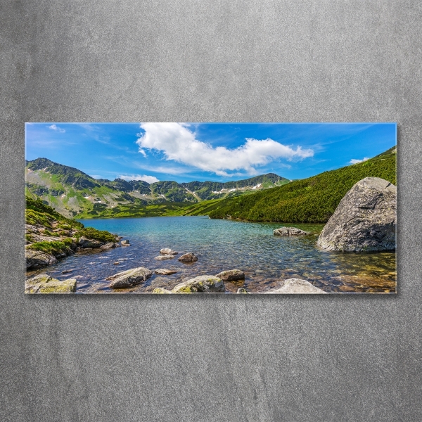 Glass art print Tatry valley