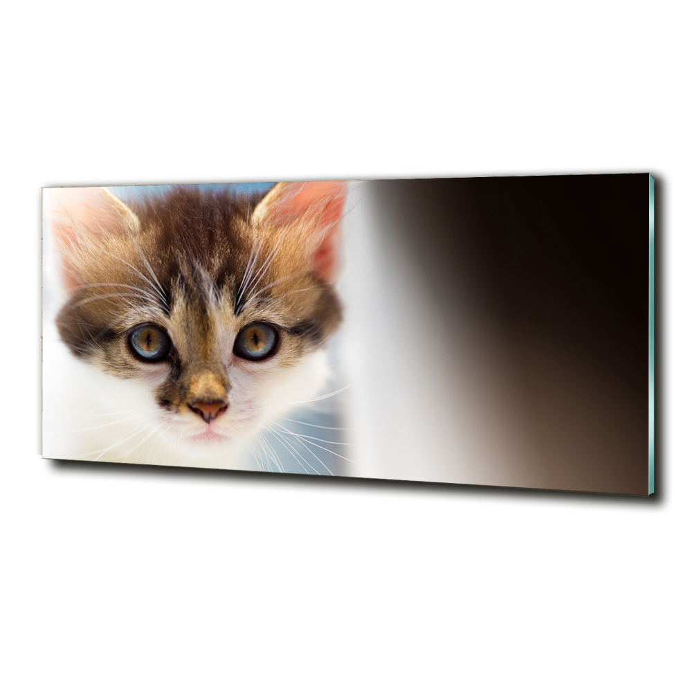 Glass wall art Small cat