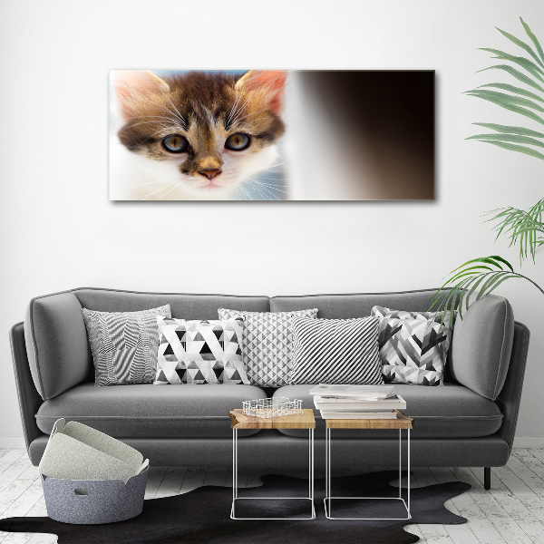 Glass wall art Small cat