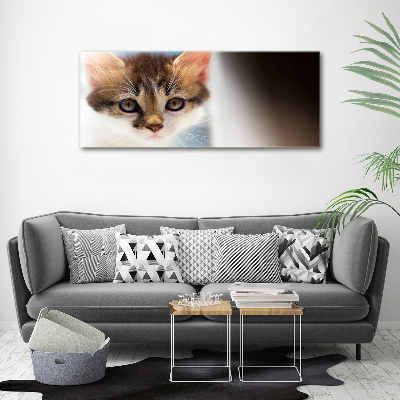 Glass wall art Small cat