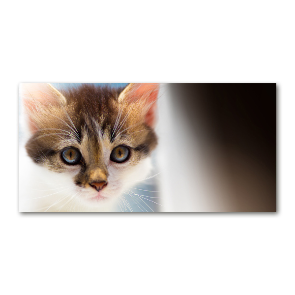 Glass wall art Small cat