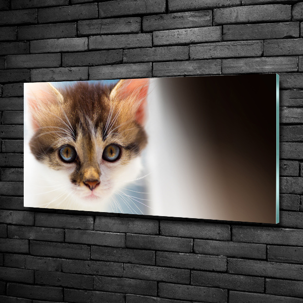 Glass wall art Small cat