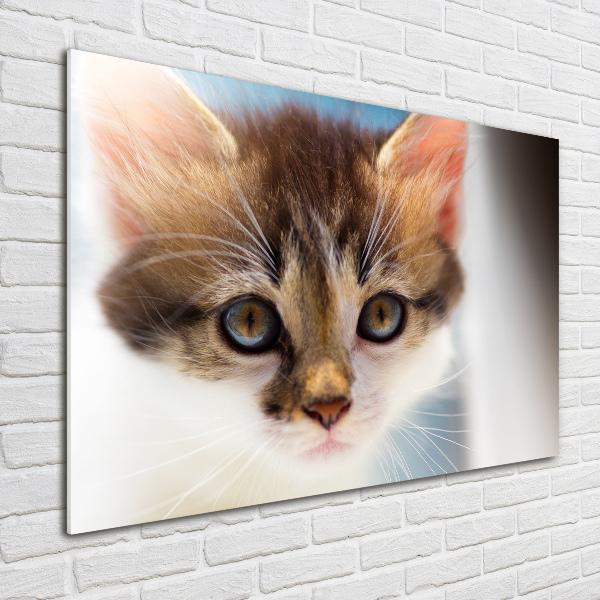 Glass wall art Small cat