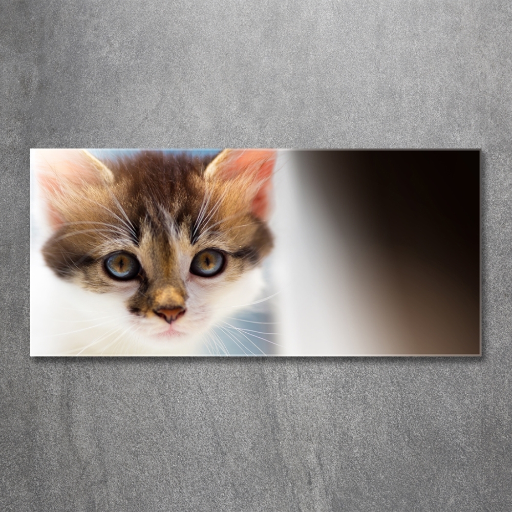 Glass wall art Small cat