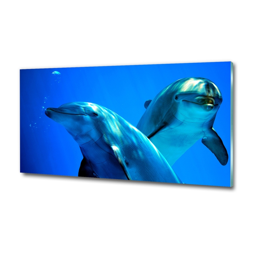 Glass wall art Two dolphins