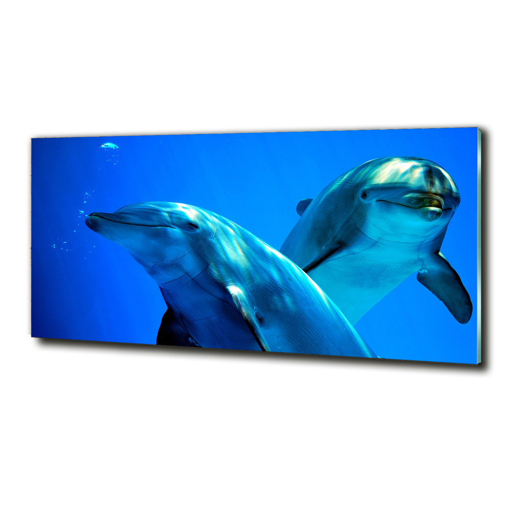 Glass wall art Two dolphins