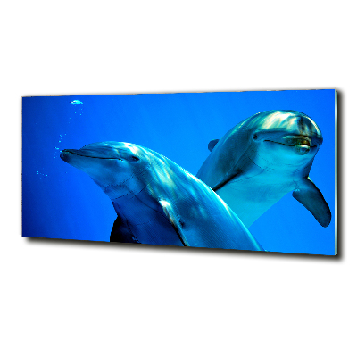 Glass wall art Two dolphins