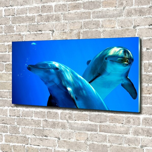 Glass wall art Two dolphins