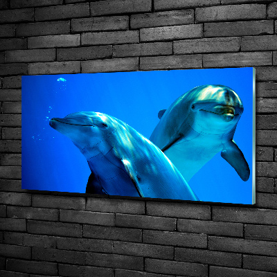 Glass wall art Two dolphins