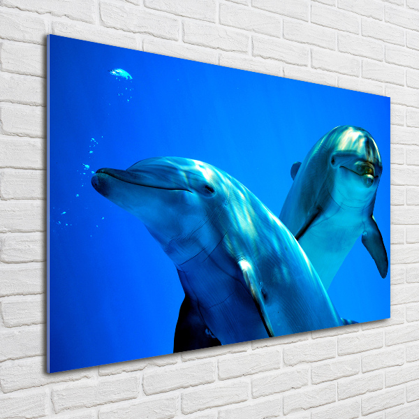 Glass wall art Two dolphins