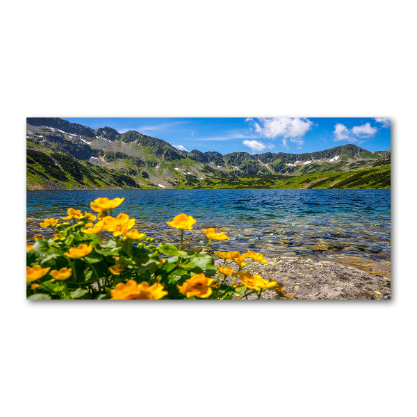 Glass art print Lake in the mountains