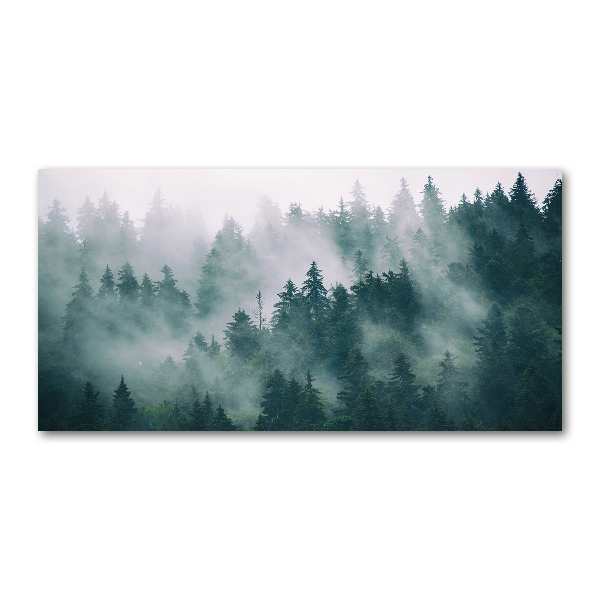 Glass art picture Fog over the forest