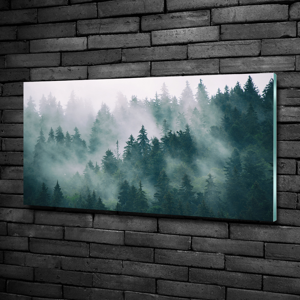 Glass art picture Fog over the forest