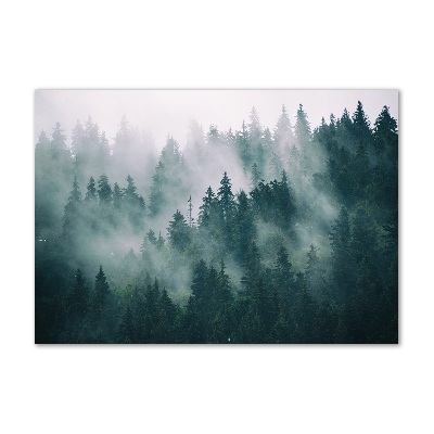 Glass art picture Fog over the forest