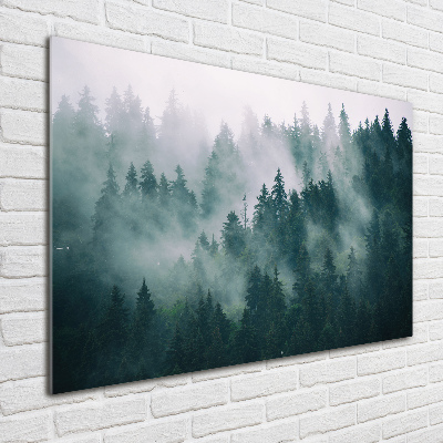 Glass art picture Fog over the forest