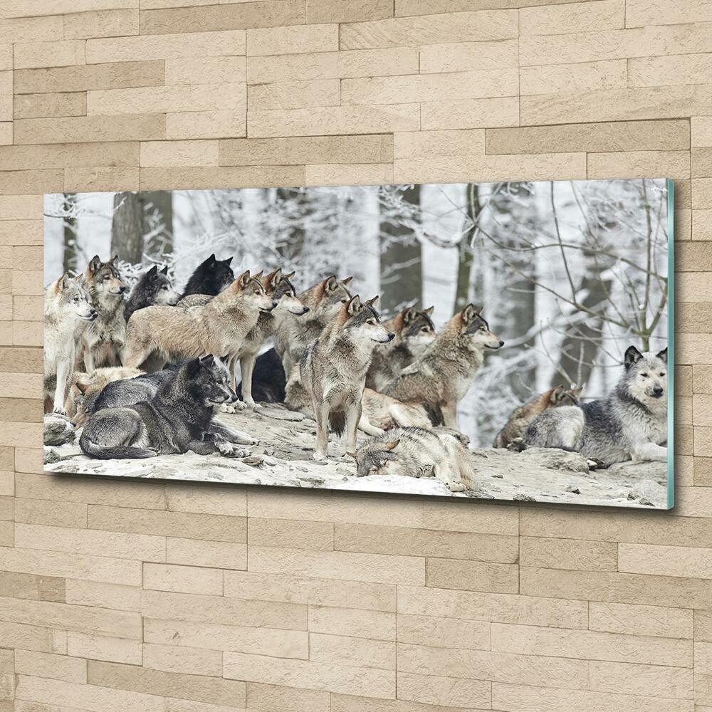 Glass wall art Wolves in winter