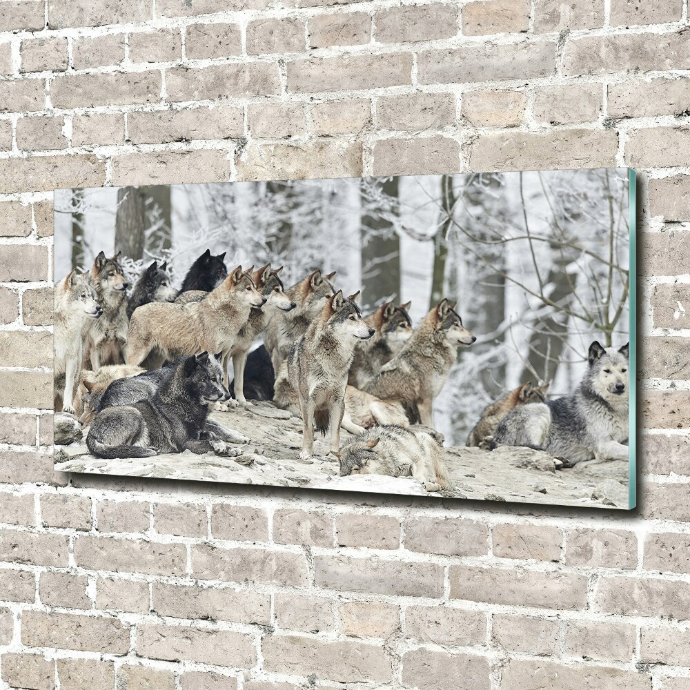 Glass wall art Wolves in winter