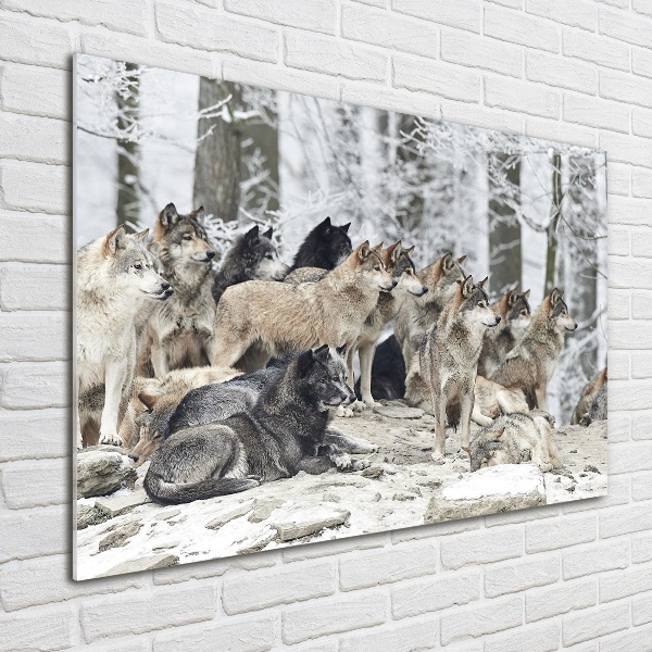 Glass wall art Wolves in winter