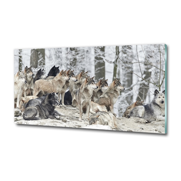 Glass wall art Wolves in winter