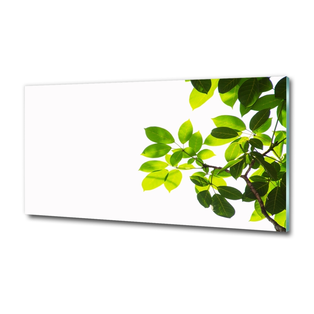 Glass wall art Leaves