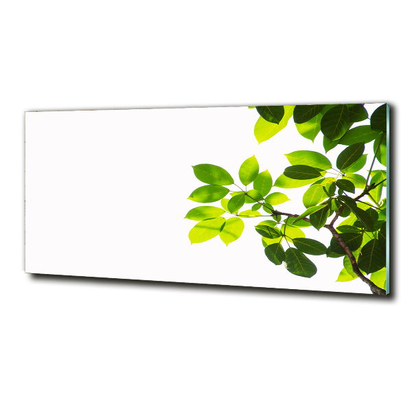 Glass wall art Leaves